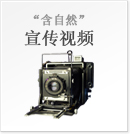 宣传视频